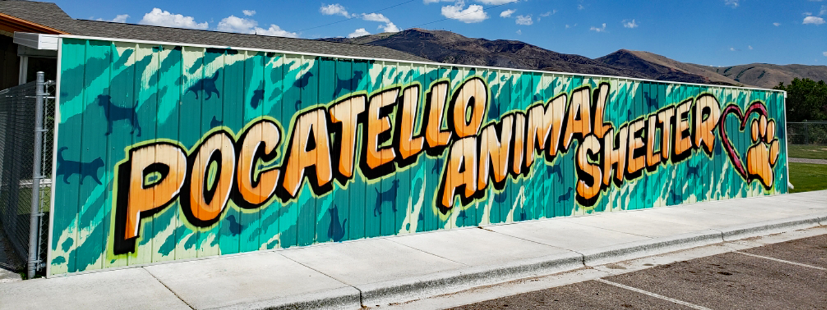 Pocatello Animal Shelter’s annual marathon event to take place Saturday