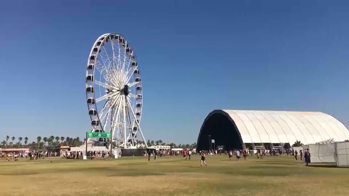 Festival season brings big boom to local transportation providers