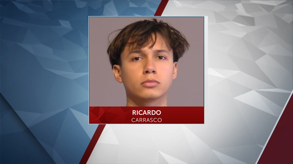 Armed robbery suspect accepts plea deal