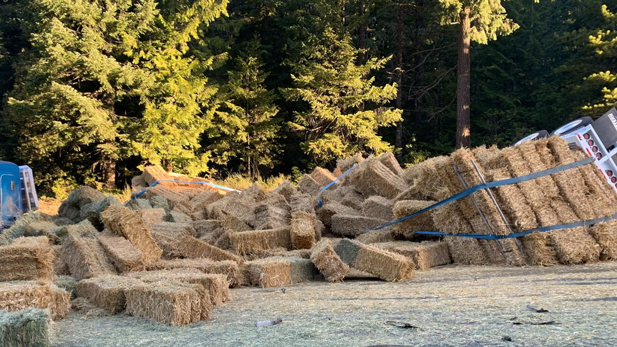 Semi and SUV collide; truck loses load of hay