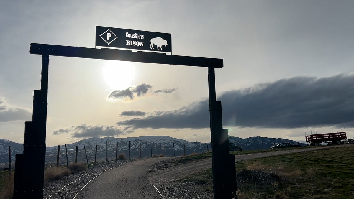 Local bison ranchers share their story and plans to rebuild after devastating house fire