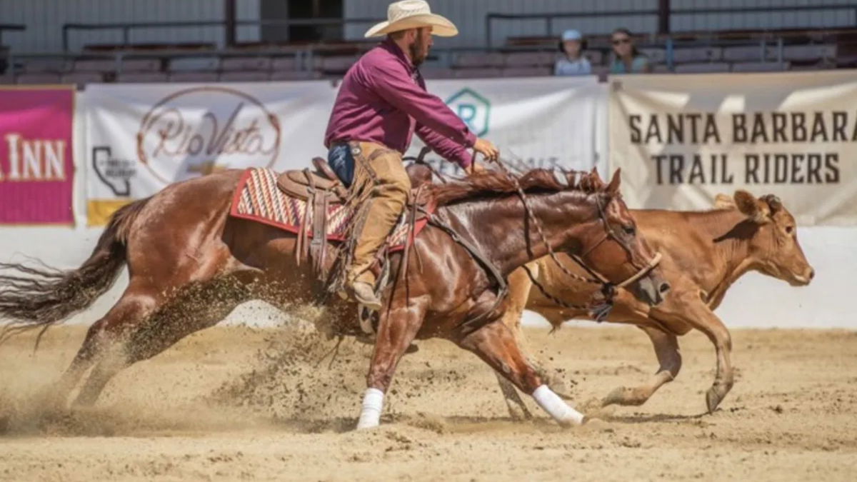 Old Spanish Days postpones the Annual Rodeo after Cutting Ties with the Earl Warren Showgrounds