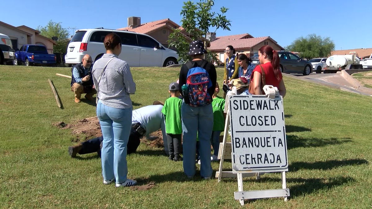San Luis celebrates Earth Day with community tree planting