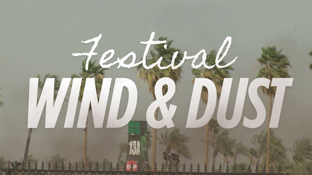 Festival-goers battered by strong winds and dust