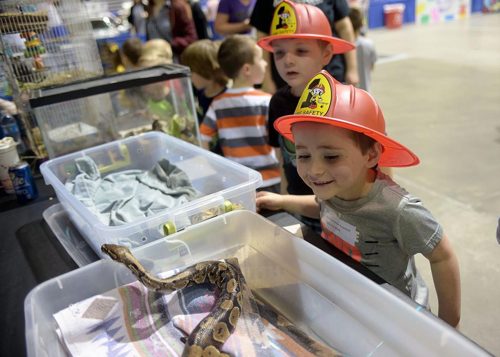 Youth Alliance hosting Children’s Fair
