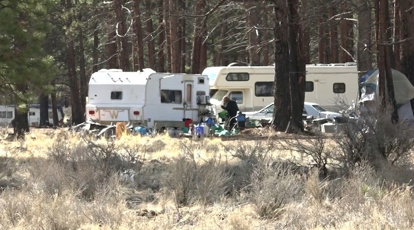 Homeless service providers sue Forest Service in federal court
