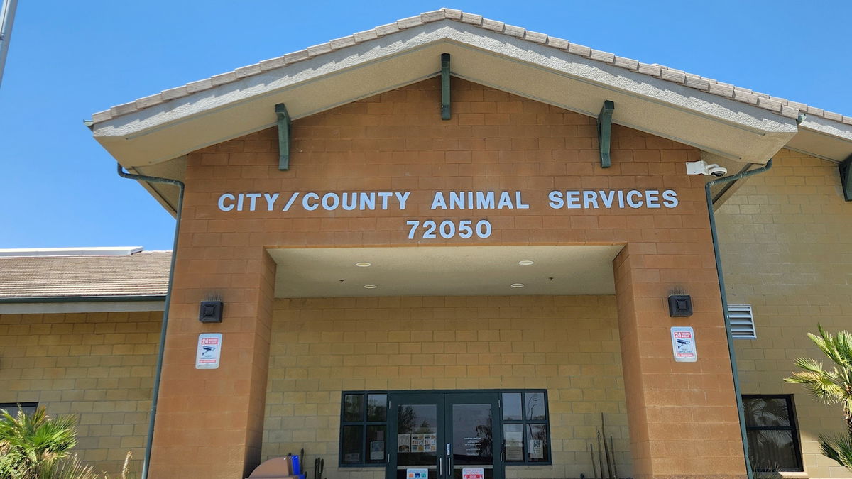 Riverside County’s animal shelters now open Sundays
