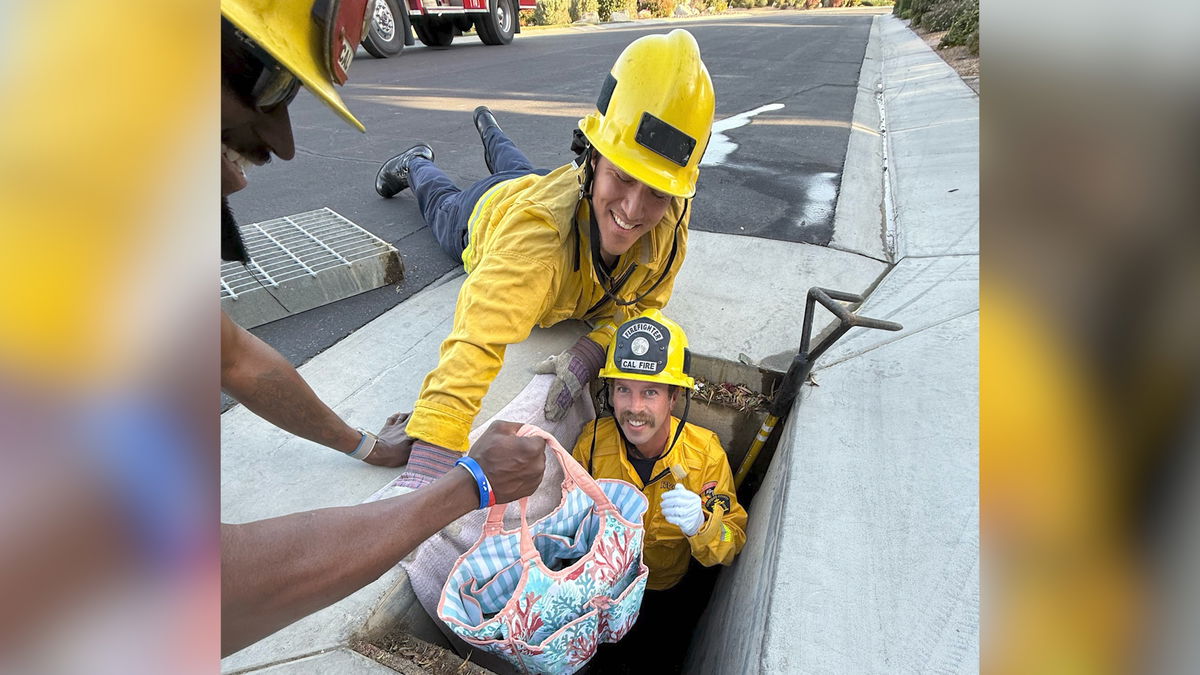 CAL FIRE crew rescues baby ducks from Indio storm drain