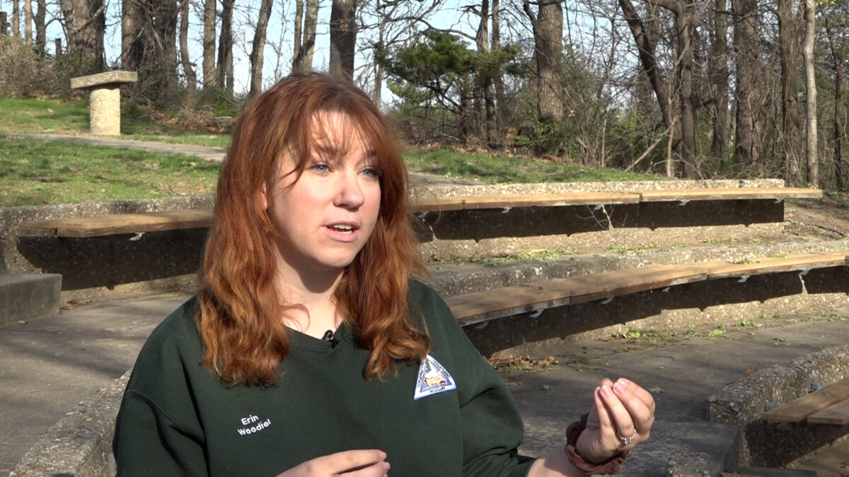 Tick sightings rise with spring’s arrival