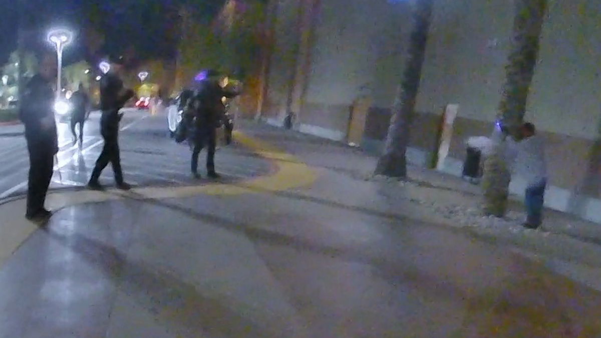 Man armed with taser