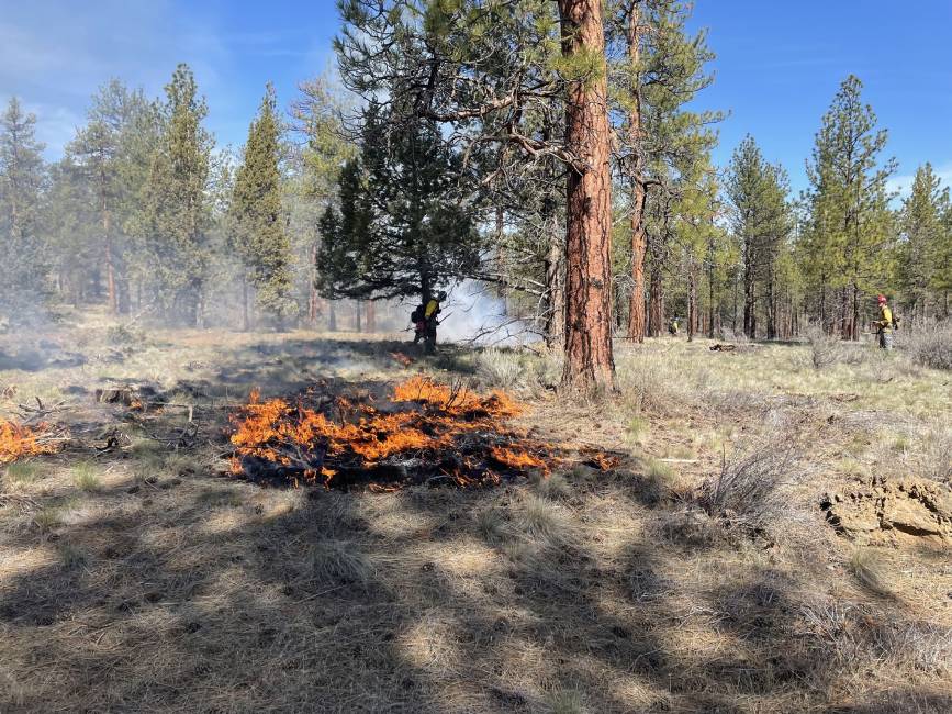 60-acre prescribed burn conducted southeast of Sisters