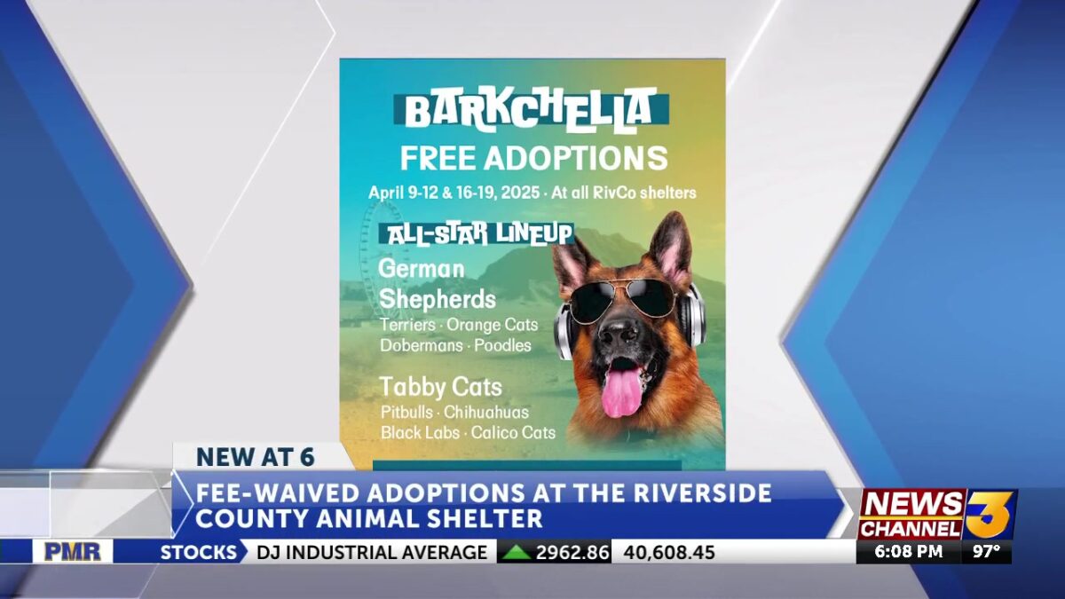 RivCo releases ‘Barkchella’ free adoption weekend one lineup
