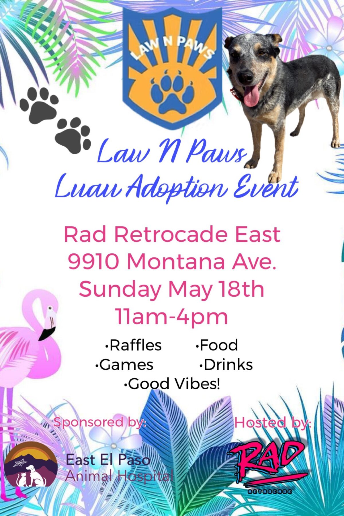 ABC-7 at 4: Laws N Paws to hold Luau adoption event