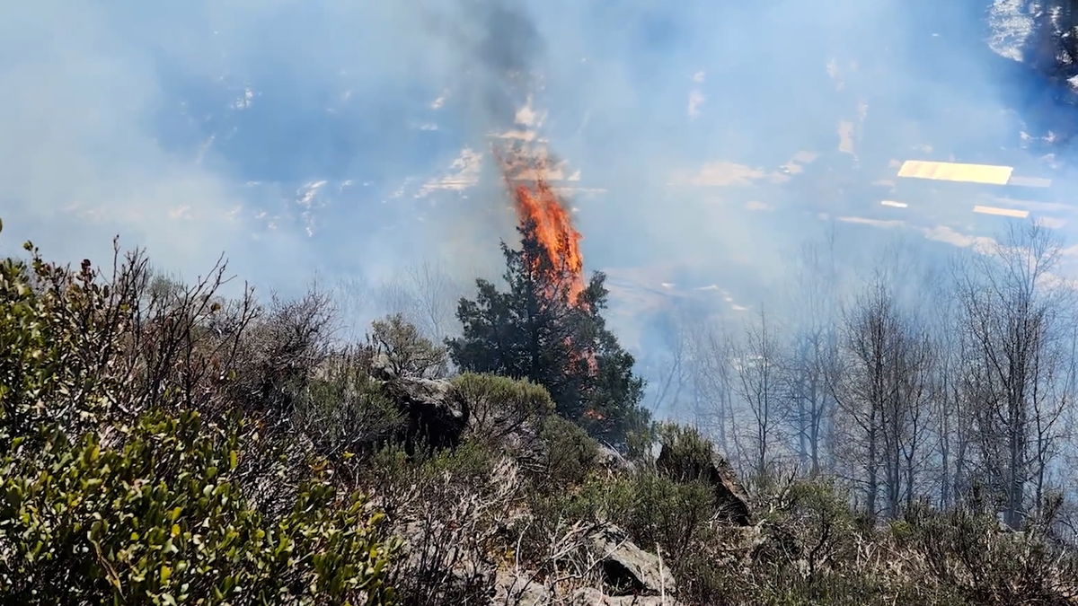 Idaho governor proclaims May as Wildfire Awareness Month