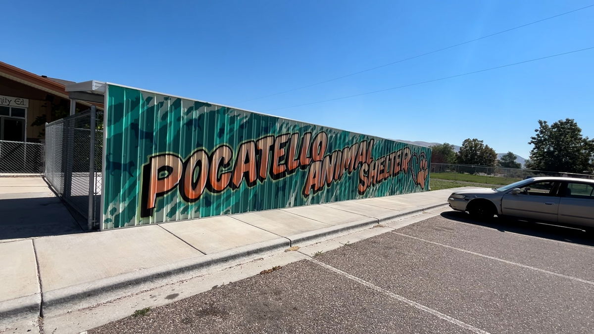 Pocatello Animal Shelter reopens after Parvovirus  scare – Remaining puppies healthy