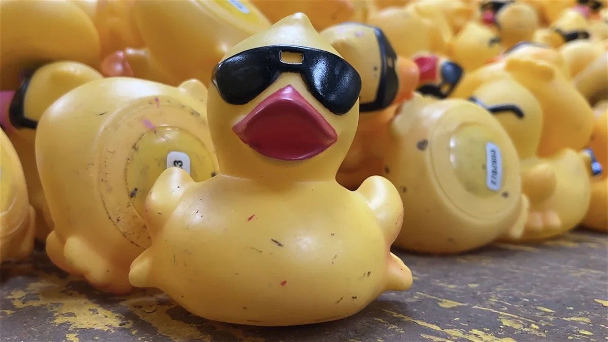 Get your ducks in a row: Idaho Falls Rotary Club gearing up for annual race
