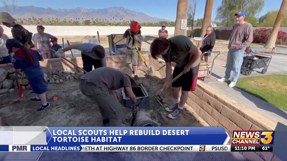 Local scouts help rebuild Desert Tortoise habitat in Rancho Mirage