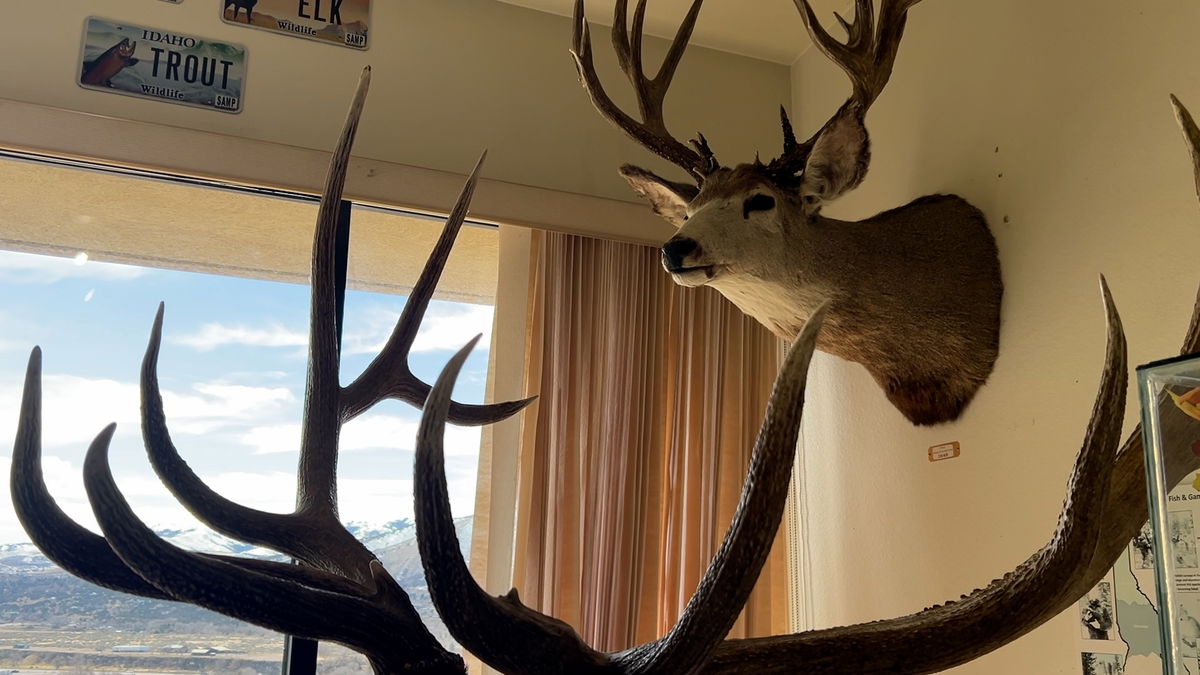 Applications open May 1 for fall controlled hunts