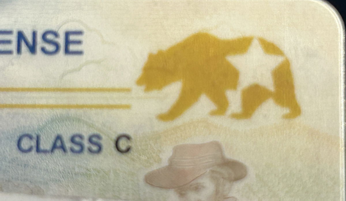 California Drivers Rush to DMV Ahead of REAL ID Deadline