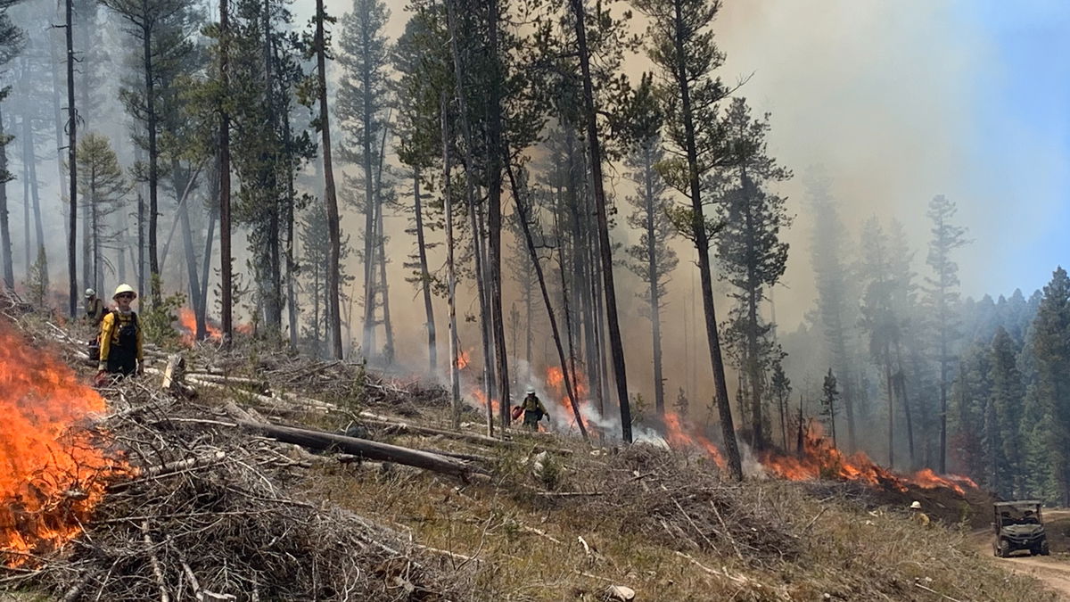 Caribou-Targhee National Forest to conduct prescribed burns in May for wildfire mitigation