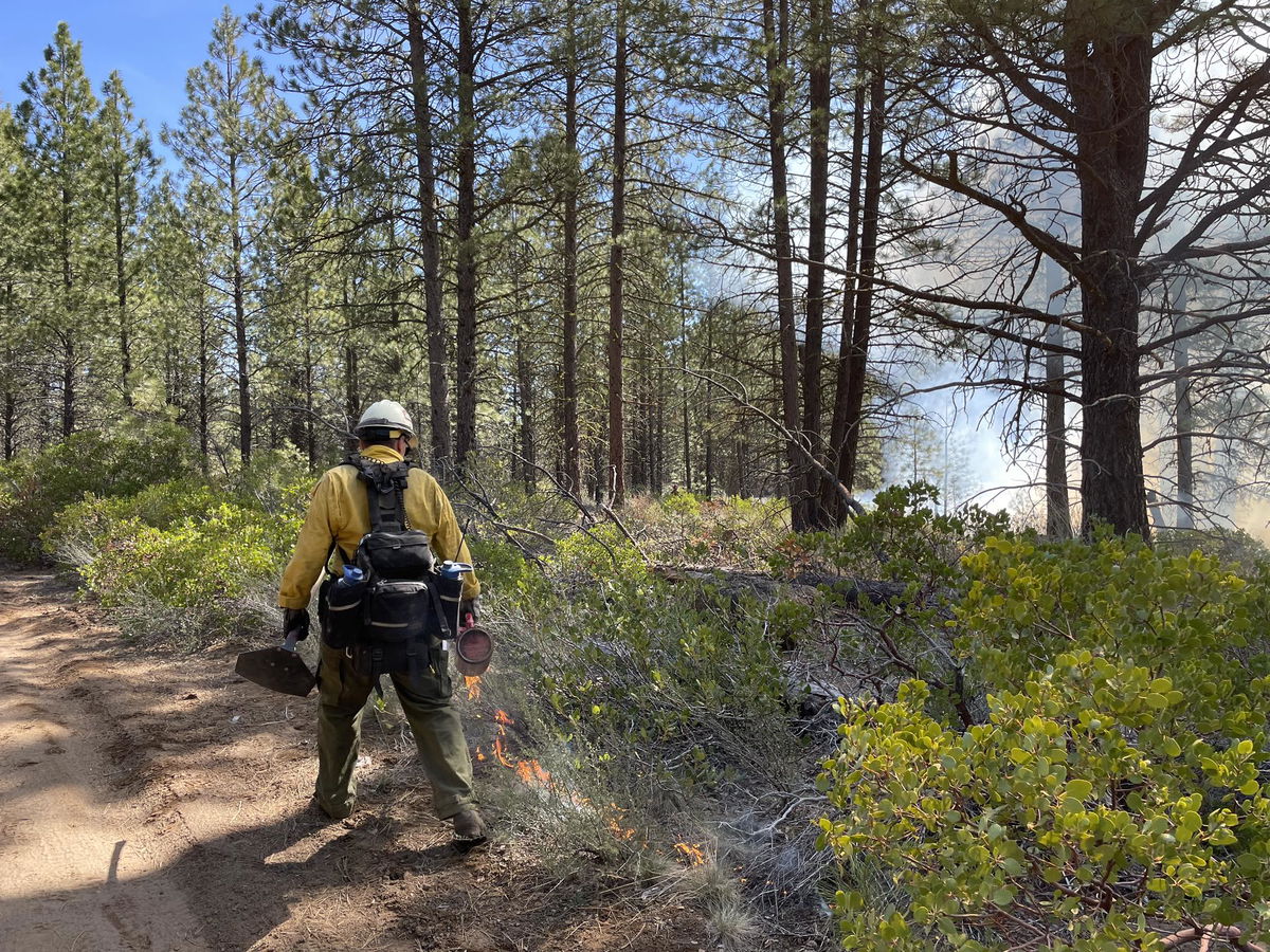 Deschutes National Forest plans 422-acre prescribed burn off Forest Service Road 18