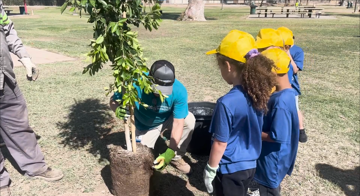 Yuma celebrates Arbor Day with community tree planting