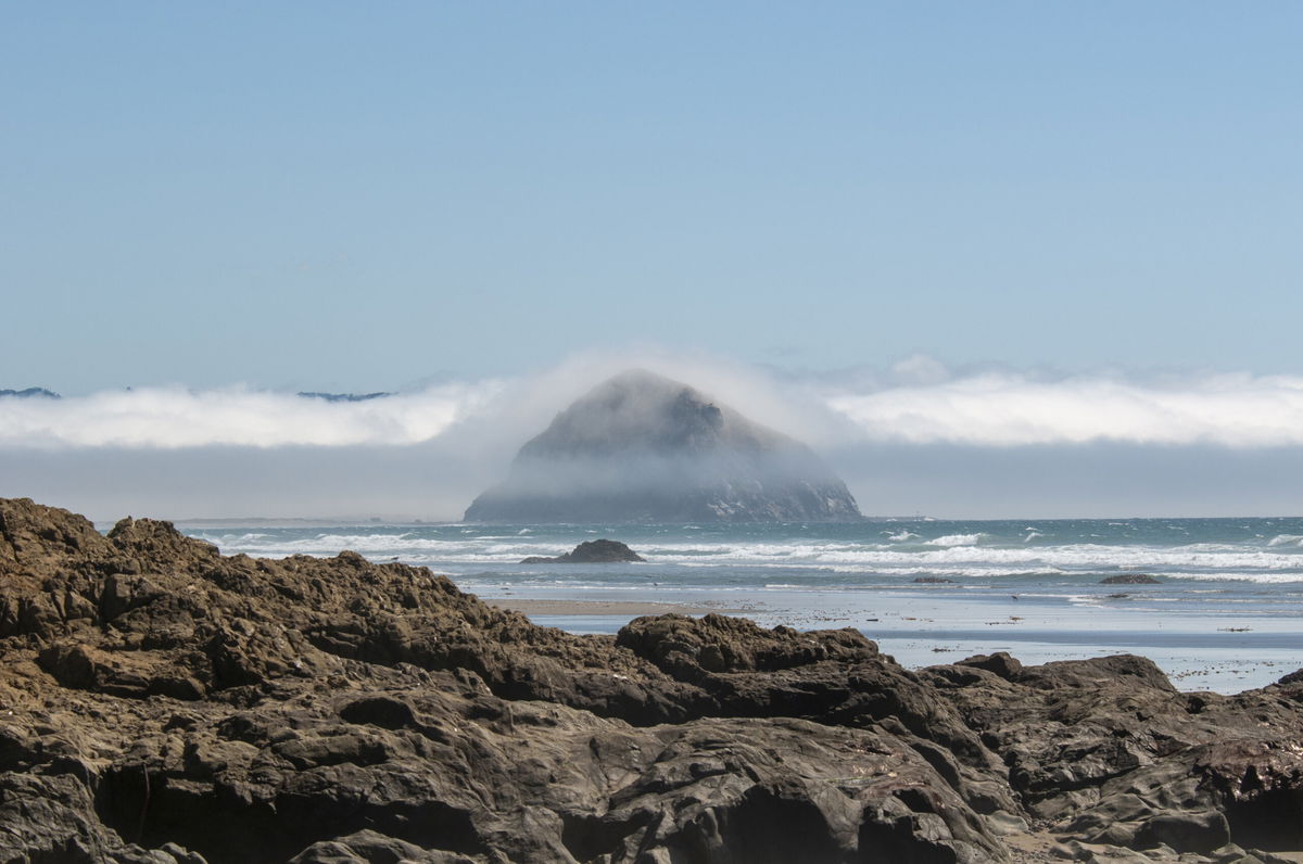 Morro Bay State Park named ‘Best California State Park for Camping’ and other Central Coast state park winners