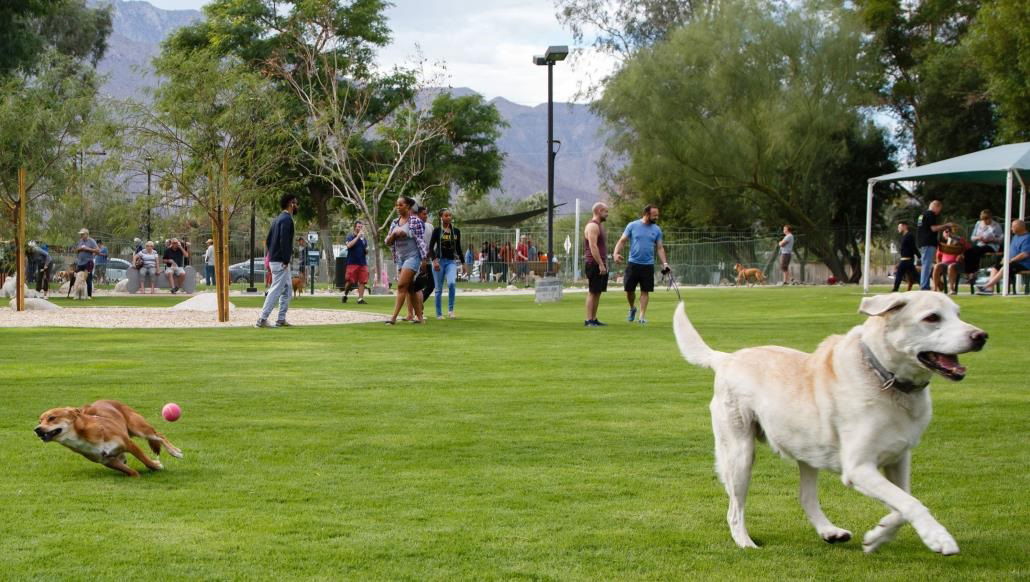 Palm Springs celebrates Kids to Parks Day