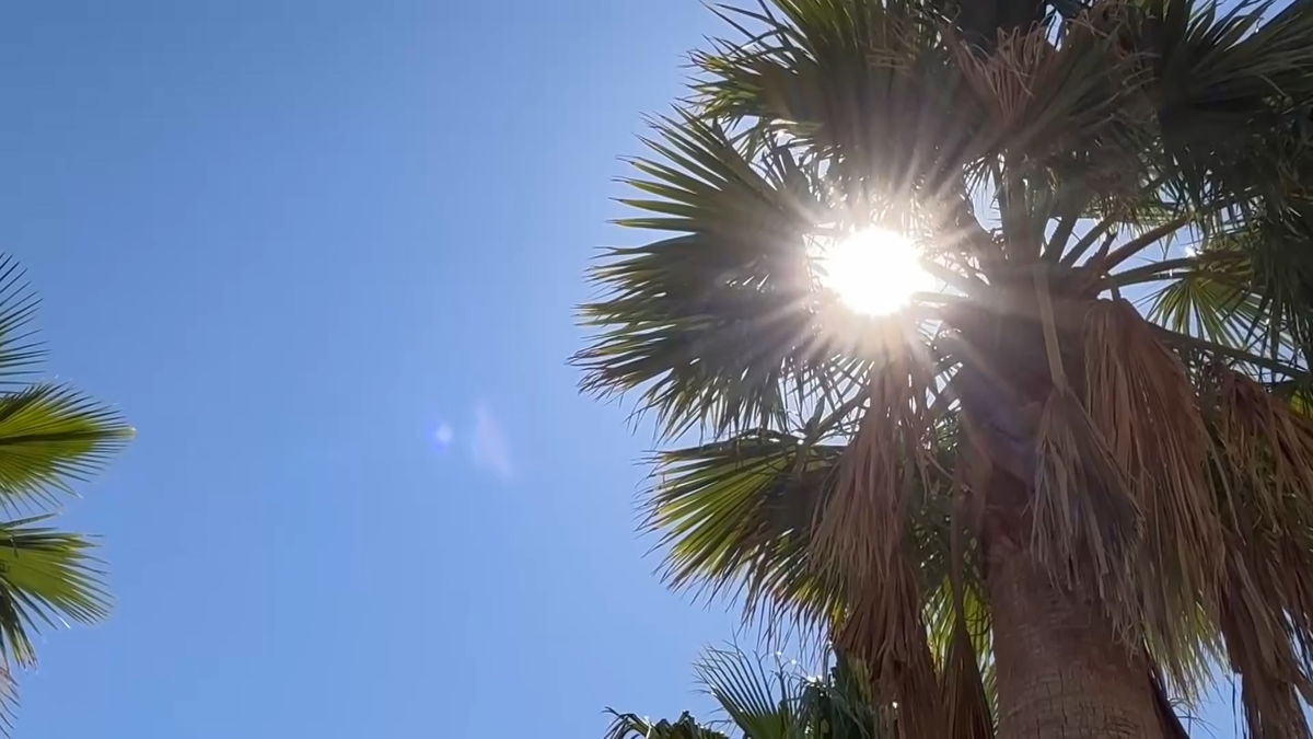 Palm Springs launching Blue Zones Project to boost community health and longevity