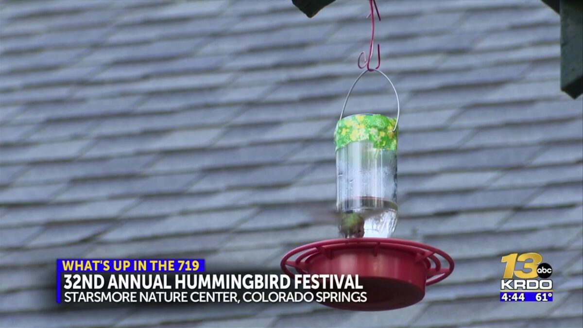Trail-building nonprofit hosts 32nd annual Hummingbird Festival