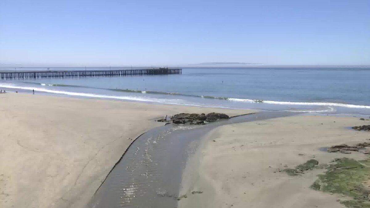 Popular Central Coast beach identified by environmental group as having one of the highest levels of bacteria in the country
