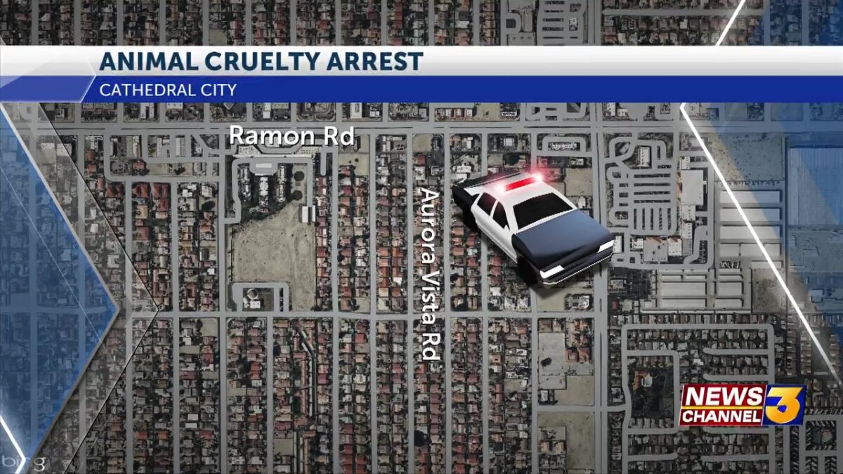 Cathedral City man arrested after five kittens found dead in trash bag