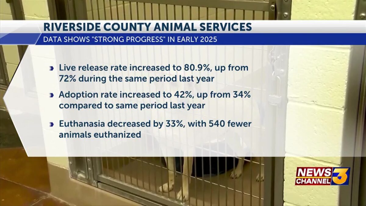 RivCo Dept. of Animal Services shares progress made in 2025