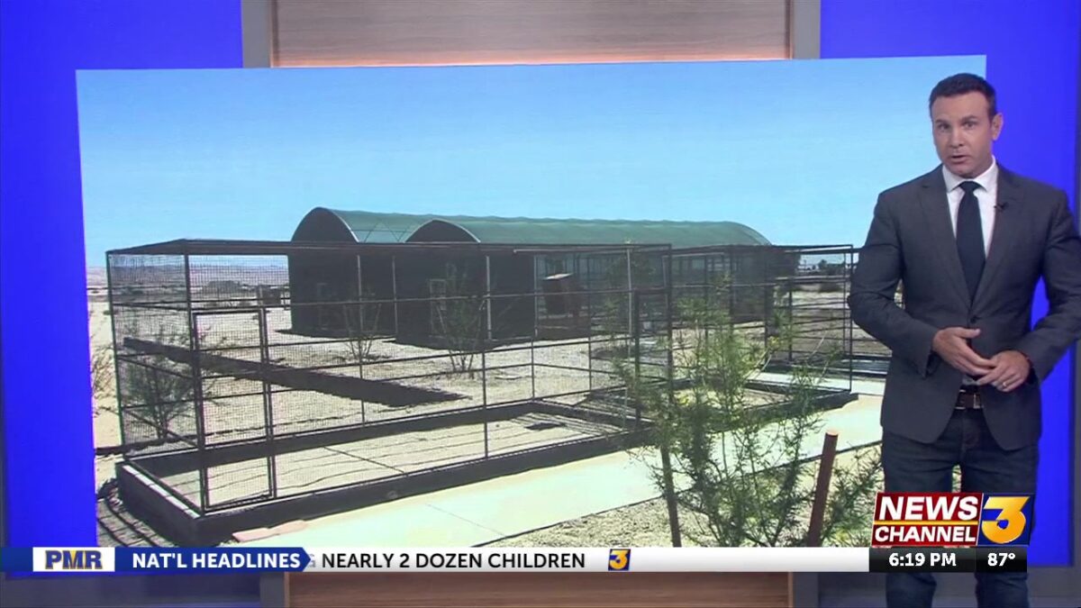 In-Depth Exclusive: Inside the Desert Wildlife Center