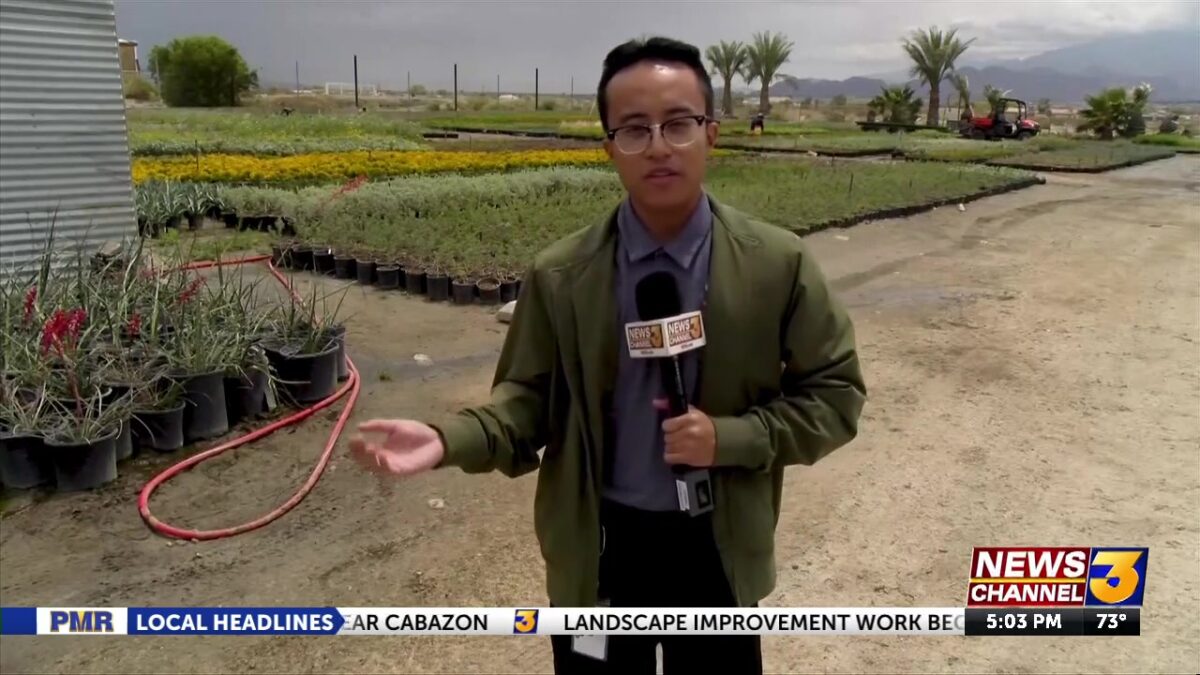 Tracking drought conditions in the Coachella Valley after weekend rain