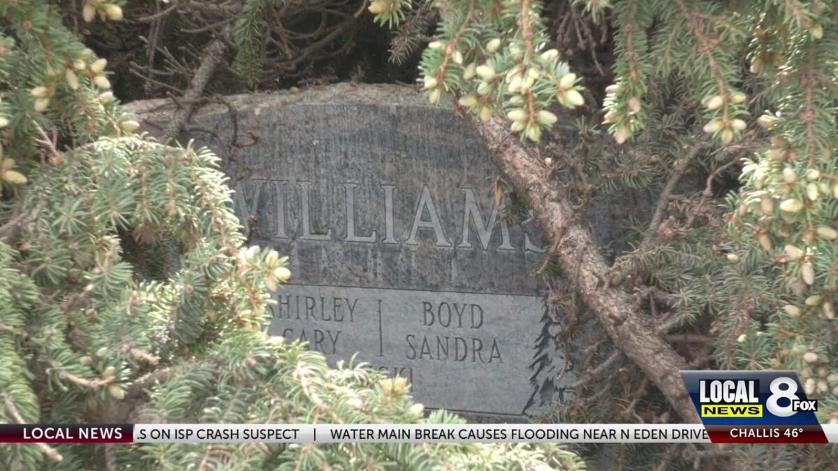 Trees fall in Pioneer Cemetery