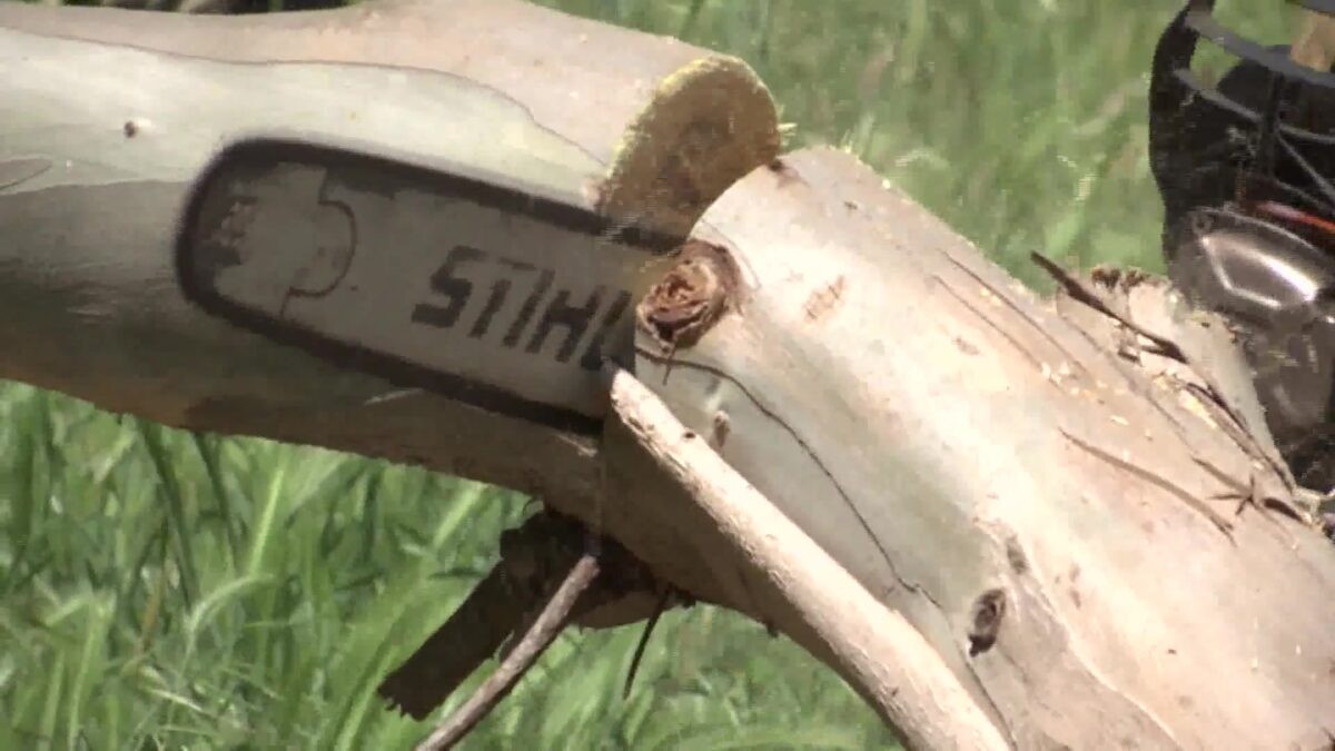 Wildfire Preparation Work Heats Up in High Risk Areas