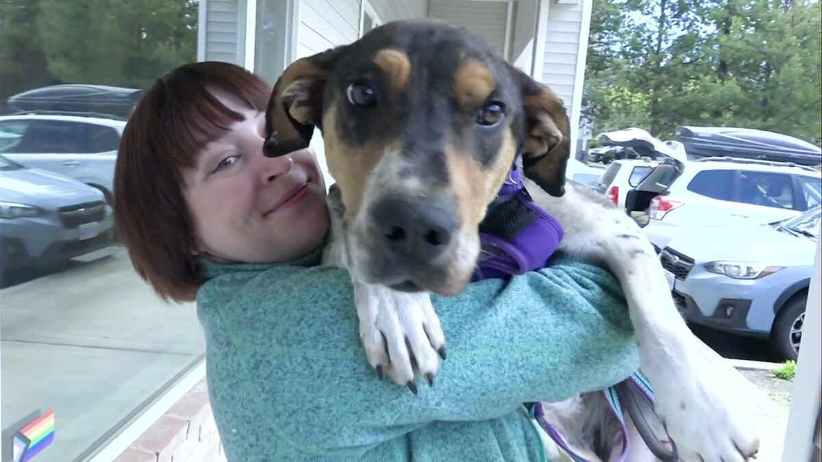 Problem Solvers: Central Oregon steps up as 14 dogs are seized in Lake County