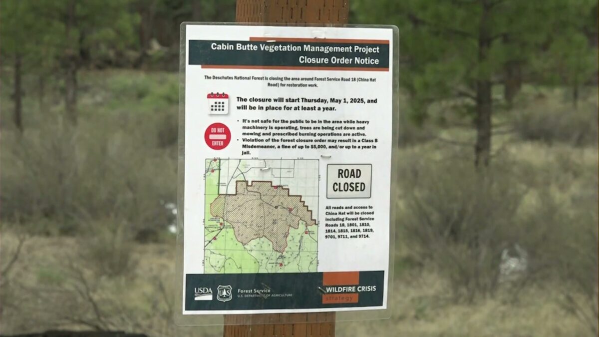 Packing up: Vehicles towed as homeless rush to move from China Hat Road under Forest Service order