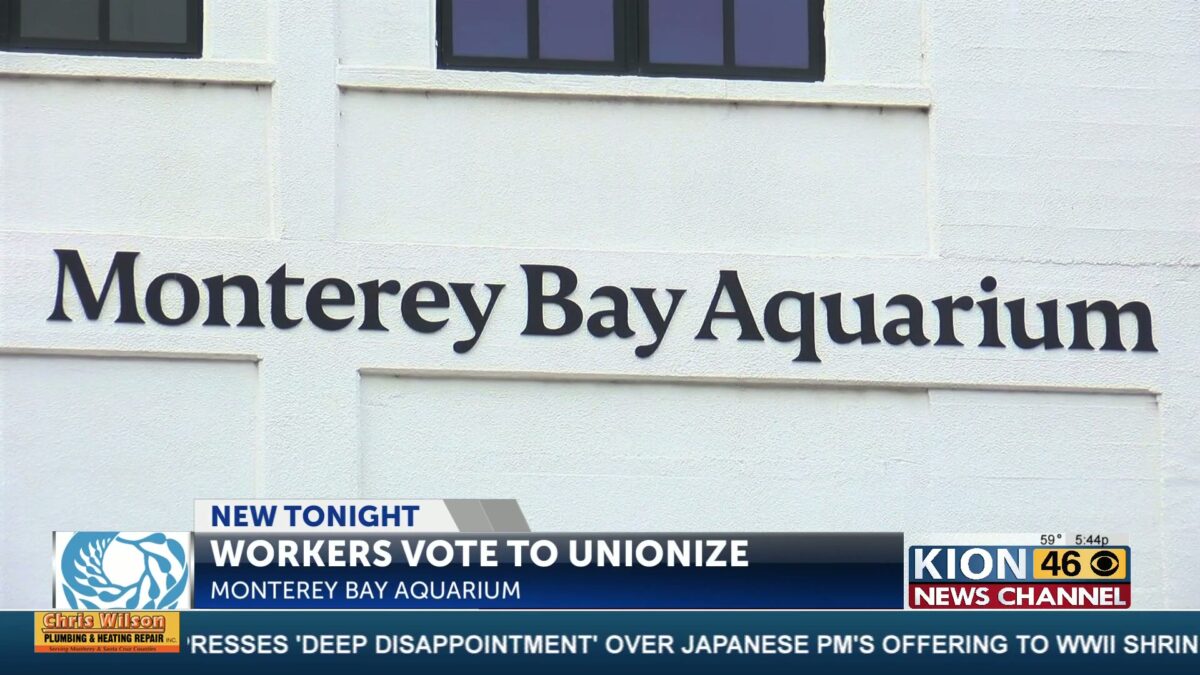 Monterey Bay Aquarium workers won the union election Monday