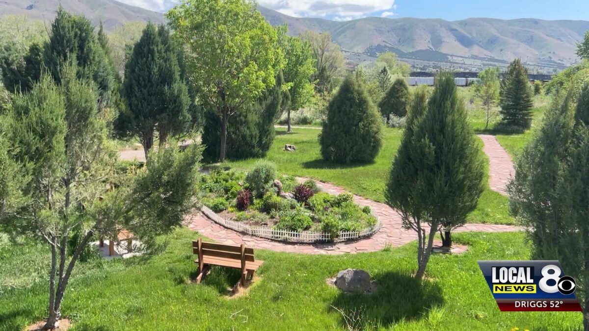 Pocatello buzzing for National Pollinator Week