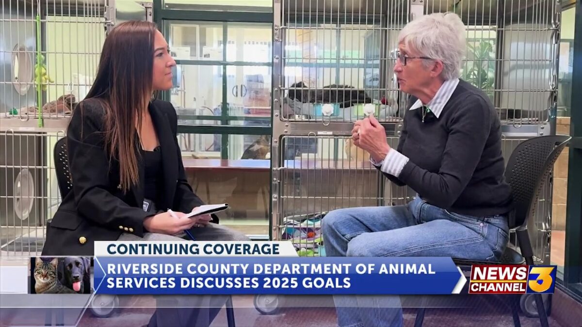 Newly hired Director of Riverside County Department of Animal Services discusses shelter goals for 2025