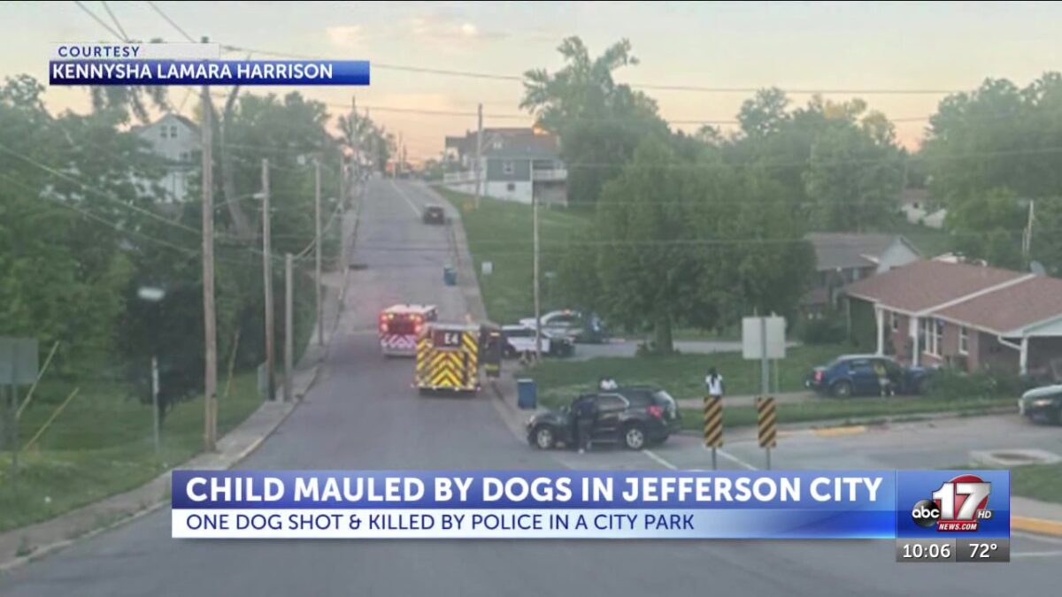 Child mauled by dogs in Jefferson City; one dog shot and killed by police