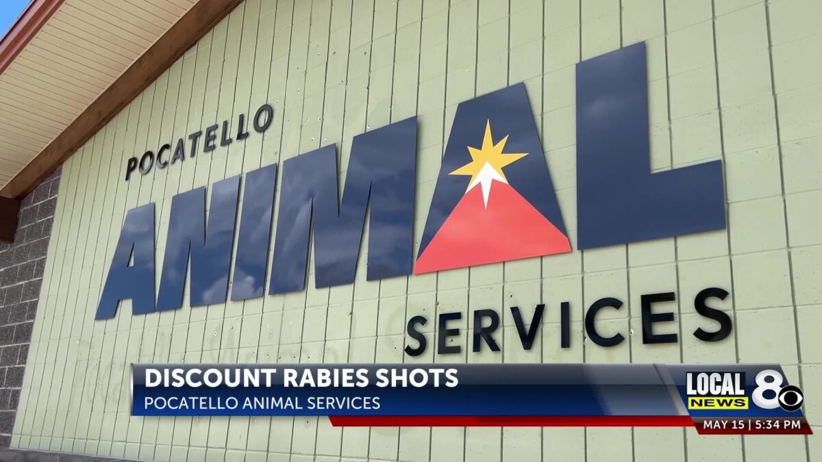 Pocatello Animal Services offering $10 rabies vaccines on Saturday