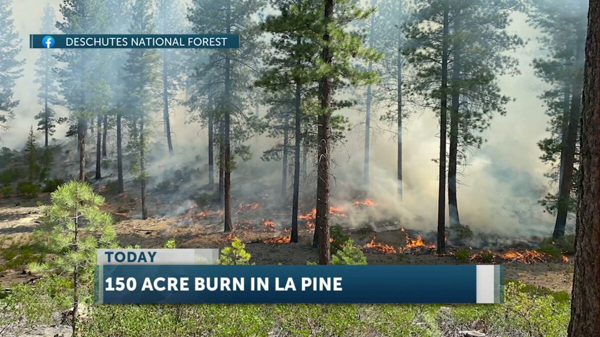 Firefighters conduct prescribed burning on 145 acres northeast of La Pine