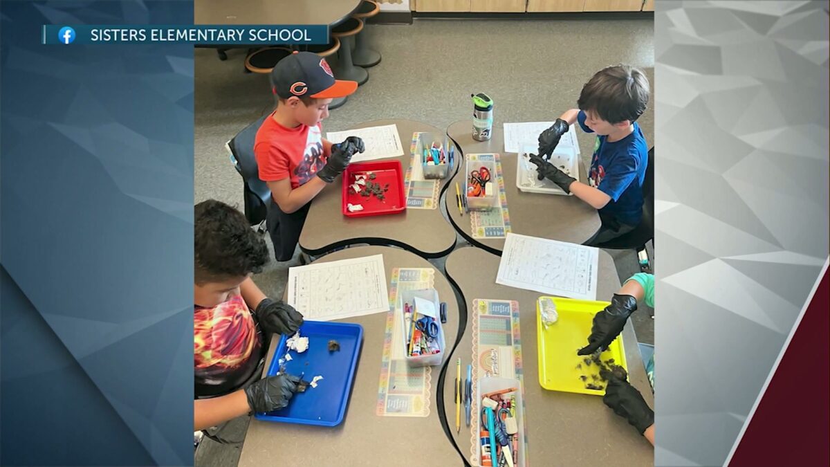 Students at Sisters Elementary get unique hands-on learning