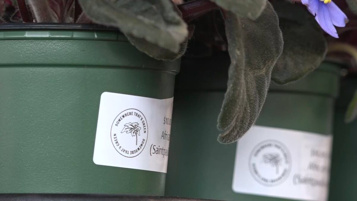 Small Business Spotlight: Somewhere That’s Green in Bend prioritizes people and plants