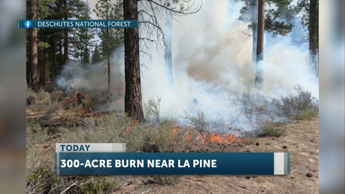 Updates on two prescribed burns conducted northeast of La Pine