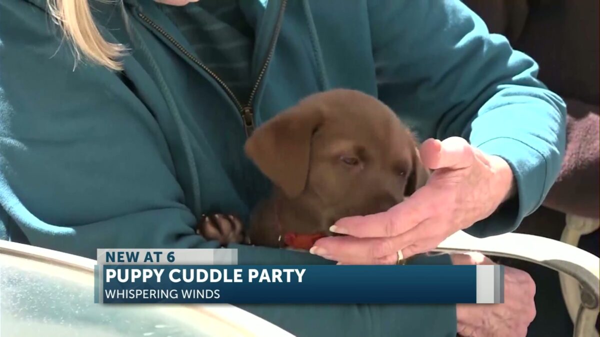Whispering Winds & Street Dog Hero team up to give seniors the gift of companionship