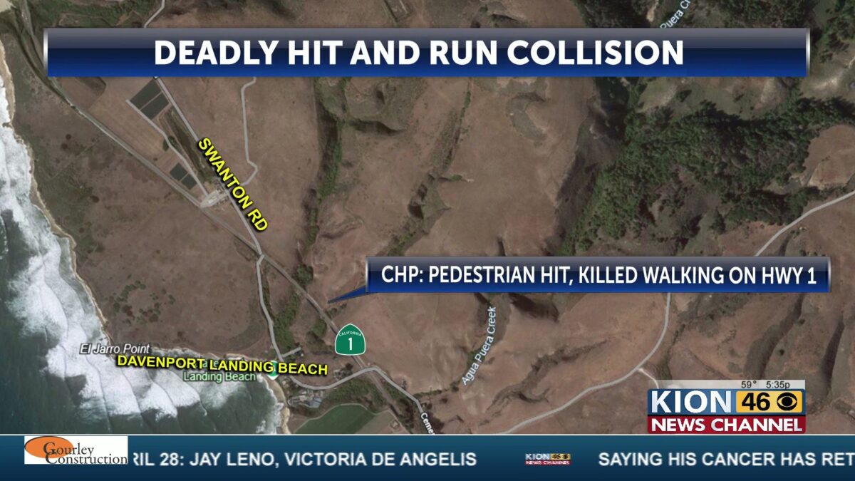 CHP seeks vehicle that may have been involved in deadly Highway  1 hit-and-run